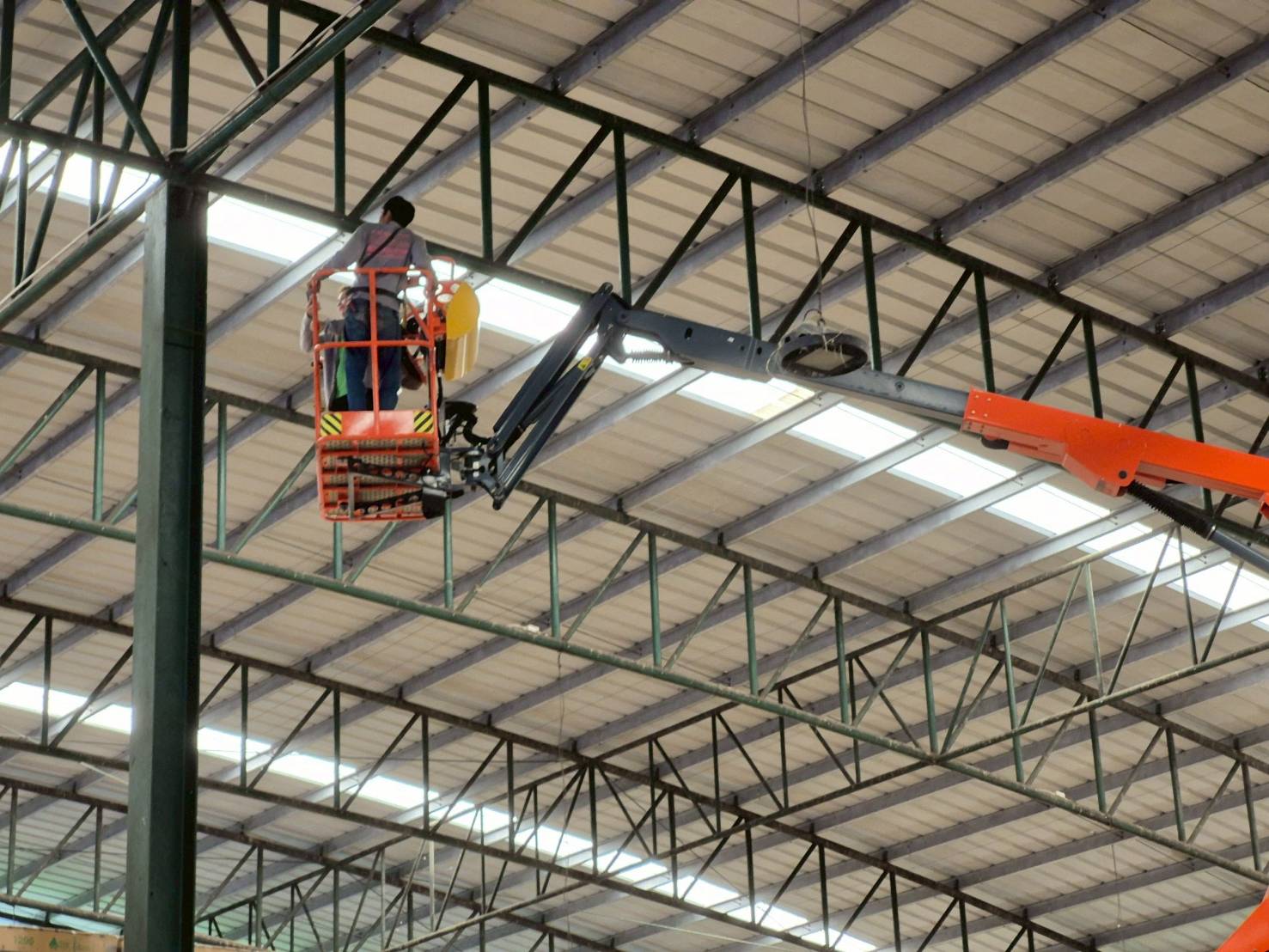 การป้องกันนก