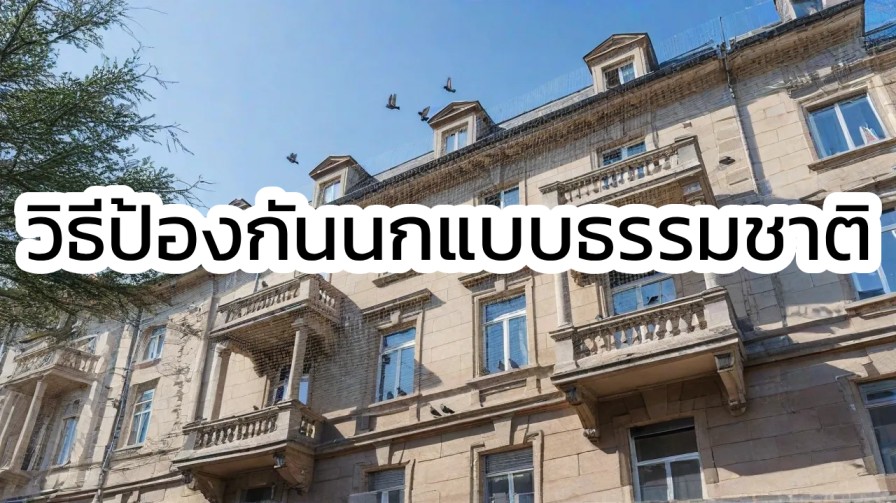 วิธีป้องกันนกแบบธรรมชาติ